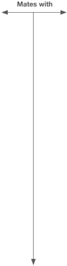 Arrow 3