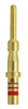 Plugs PTSE