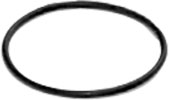 O-Ring - Plug
