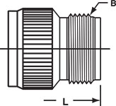 CT 0 Styles with F Endbell Interior View