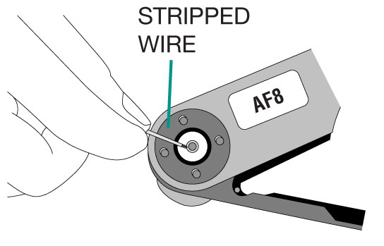 Stripped Wire