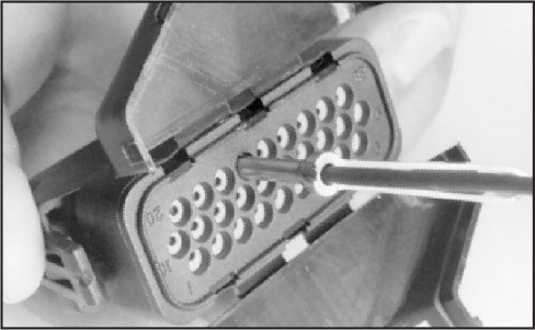 SLE Extraction Step 2