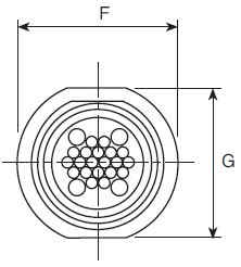 Neptune Diagram 2