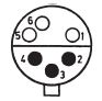 6 Circuit Layout
